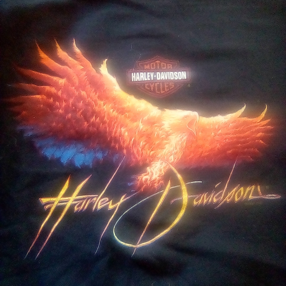 Rare Vintage Harley-Davidson Eagle Tee Size XL
